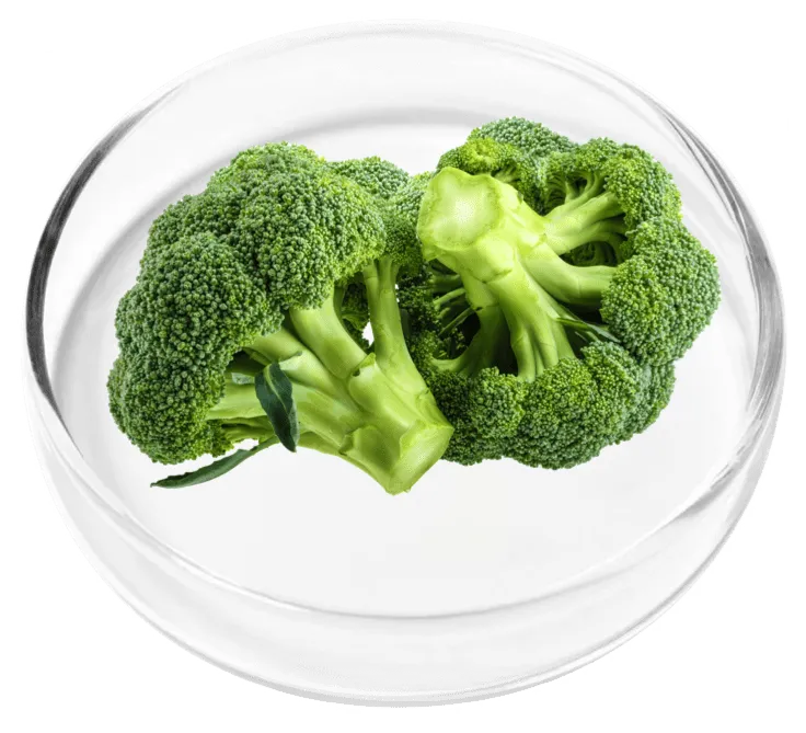 Vertigenics Alpha Lipoic Acid