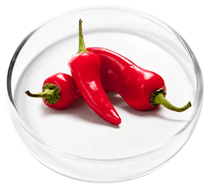 Vertigenics Cayenne Fruit